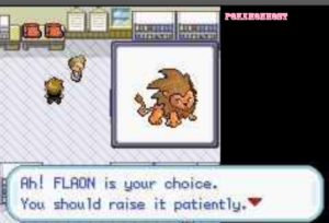 flaon is your choice