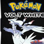 Pokemon Volt White NDS