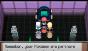 Your pokemon are partners